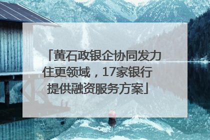 黄石政银企协同发力住更领域，17家银行提供融资服务方案