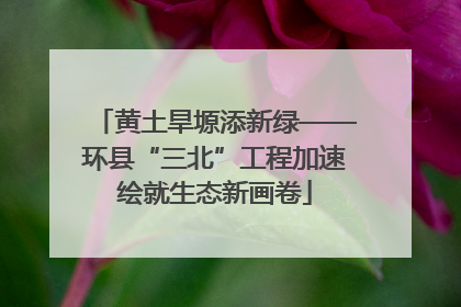 黄土旱塬添新绿——环县“三北”工程加速绘就生态新画卷