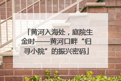 黄河入海处，庭院生金时——黄河口畔“归寻小院”的振兴密码