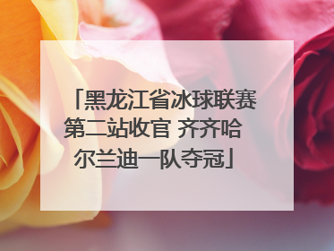 黑龙江省冰球联赛第二站收官 齐齐哈尔兰迪一队夺冠
