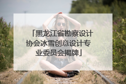 黑龙江省勘察设计协会冰雪创意设计专业委员会揭牌
