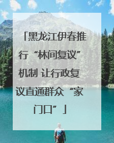 黑龙江伊春推行“林间复议”机制 让行政复议直通群众“家门口”