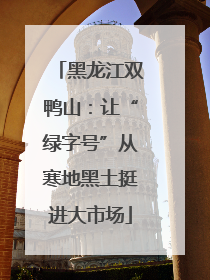黑龙江双鸭山：让“绿字号”从寒地黑土挺进大市场