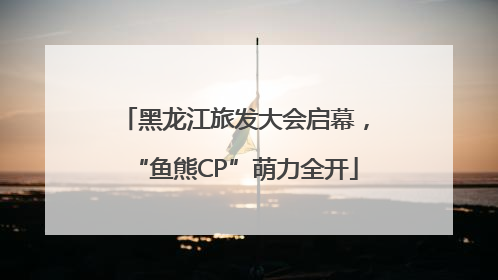 黑龙江旅发大会启幕，“鱼熊CP”萌力全开
