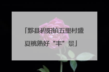 黟县碧阳镇五里村盛夏桃熟好“丰”景