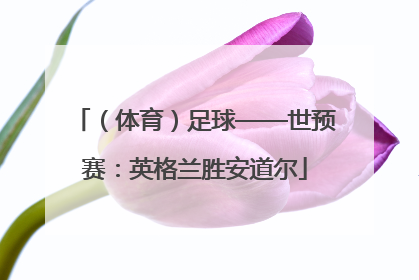 （体育）足球——世预赛：英格兰胜安道尔