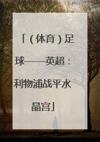 （体育）足球——英超：利物浦战平水晶宫