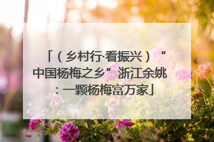 （乡村行·看振兴）“中国杨梅之乡”浙江余姚：一颗杨梅富万家