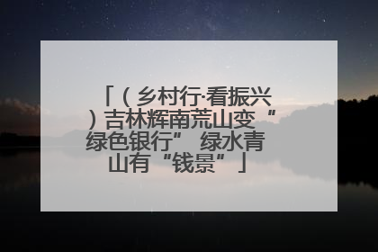 （乡村行·看振兴）吉林辉南荒山变“绿色银行” 绿水青山有“钱景”