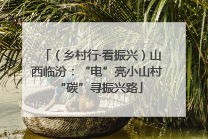 （乡村行·看振兴）山西临汾：“电”亮小山村 “碳”寻振兴路