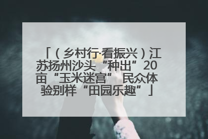 （乡村行·看振兴）江苏扬州沙头“种出”20亩“玉米迷宫” 民众体验别样“田园乐趣”