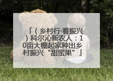 （乡村行·看振兴）科尔沁新农人：10亩大棚起家种出乡村振兴“甜蜜果”