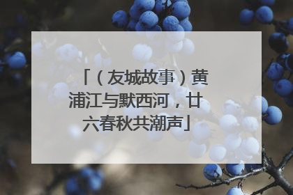 （友城故事）黄浦江与默西河，廿六春秋共潮声