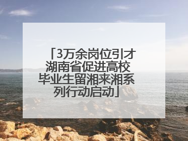 3万余岗位引才 湖南省促进高校毕业生留湘来湘系列行动启动