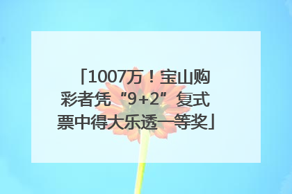 1007万！宝山购彩者凭“9+2”复式票中得大乐透一等奖