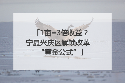 1亩=3倍收益？宁夏兴庆区解锁改革“黄金公式”