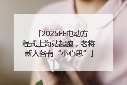 2025FE电动方程式上海站起跑，老将新人各有“小心思”