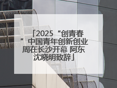 2025“创青春”中国青年创新创业周在长沙开幕 阿东沈晓明致辞