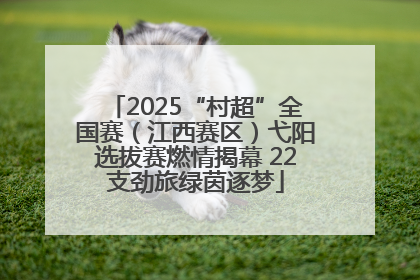 2025“村超”全国赛（江西赛区）弋阳选拔赛燃情揭幕 22支劲旅绿茵逐梦