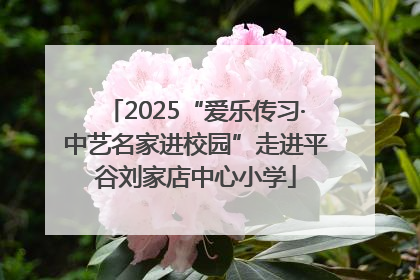 2025“爱乐传习·中艺名家进校园”走进平谷刘家店中心小学