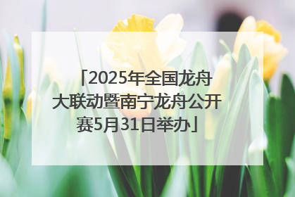 2025年全国龙舟大联动暨南宁龙舟公开赛5月31日举办