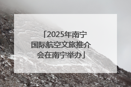 2025年南宁国际航空文旅推介会在南宁举办