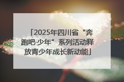 2025年四川省“奔跑吧·少年”系列活动释放青少年成长新动能