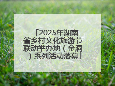 2025年湖南省乡村文化旅游节联动举办地（金洞）系列活动落幕