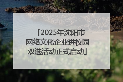 2025年沈阳市网络文化企业进校园双选活动正式启动