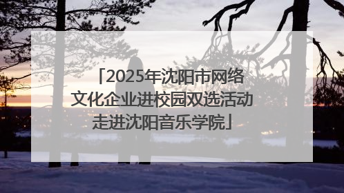 2025年沈阳市网络文化企业进校园双选活动走进沈阳音乐学院