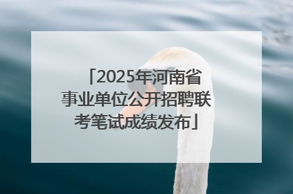 2025年河南省事业单位公开招聘联考笔试成绩发布