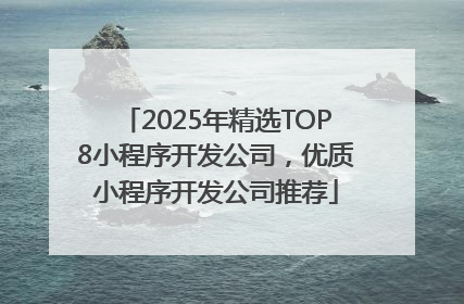 2025年精选TOP8小程序开发公司，优质小程序开发公司推荐