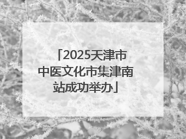 2025天津市中医文化市集津南站成功举办
