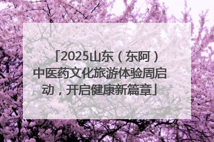 2025山东（东阿）中医药文化旅游体验周启动，开启健康新篇章