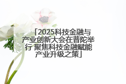 2025科技金融与产业创新大会在普陀举行 聚焦科技金融赋能产业升级之策