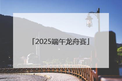 2025端午龙舟赛
