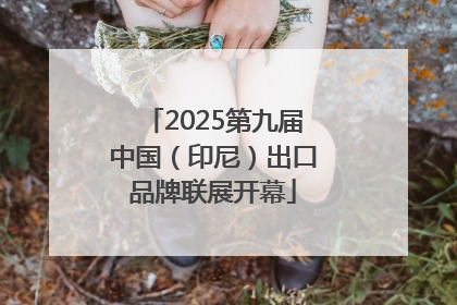 2025第九届中国（印尼）出口品牌联展开幕