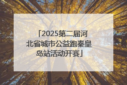 2025第二届河北省城市公益跑秦皇岛站活动开赛