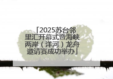 2025苏台邻里汇开幕式暨海峡两岸（洋河）龙舟邀请赛成功举办