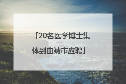 20名医学博士集体到曲靖市应聘
