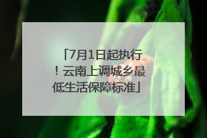 7月1日起执行！云南上调城乡最低生活保障标准