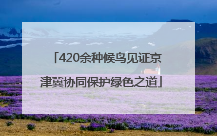 420余种候鸟见证京津冀协同保护绿色之道