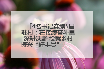 4名书记连续5届驻村：在接续奋斗里深耕沃野 绘就乡村振兴“好丰景”——浦发银行南京分行助力脱贫攻坚、帮促乡村振兴记事（二）