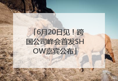 6月20日见！跨国公司峰会首发SHOW嘉宾公布