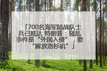 700名海军陆战队士兵已抵达 特朗普：骚乱事件是“外国入侵”，要“解放洛杉矶”