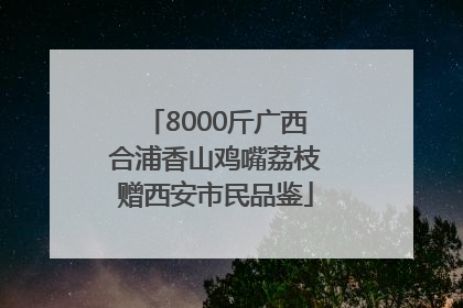 8000斤广西合浦香山鸡嘴荔枝赠西安市民品鉴