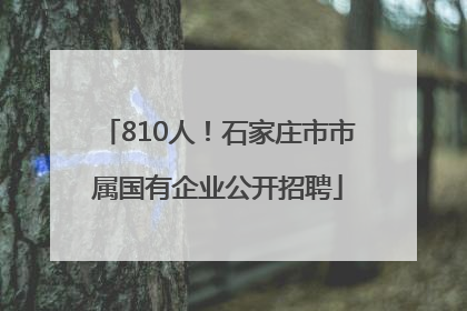 810人！石家庄市市属国有企业公开招聘