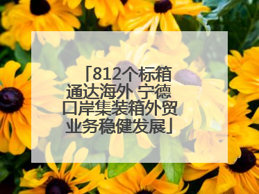 812个标箱通达海外 宁德口岸集装箱外贸业务稳健发展
