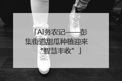 AI务农记——彭集街道甜瓜种植迎来“智慧丰收”