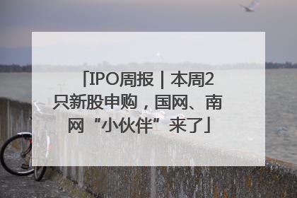 IPO周报｜本周2只新股申购，国网、南网“小伙伴”来了